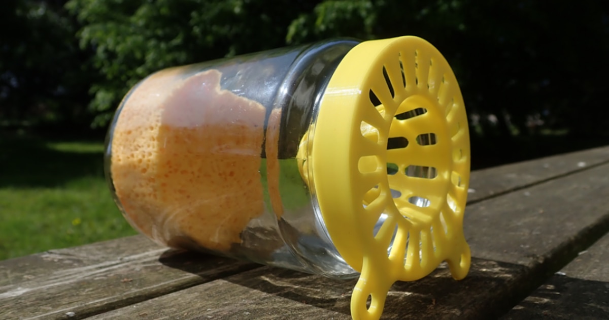 Brabant Wallon Finances 17,000 Hornet Traps for Bee Protection